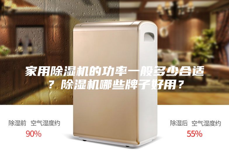 家用除濕機的功率一般多少合適？除濕機哪些牌子好用？