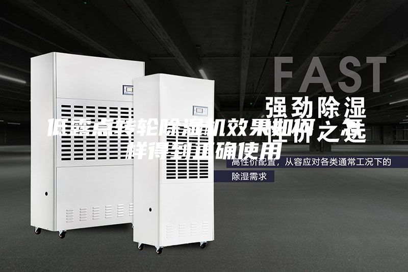 低露點(diǎn)轉輪除濕機效果如何，怎樣得到正確使用