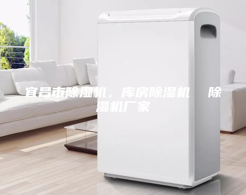 宜昌市除濕機，庫房除濕機  除濕機廠(chǎng)家