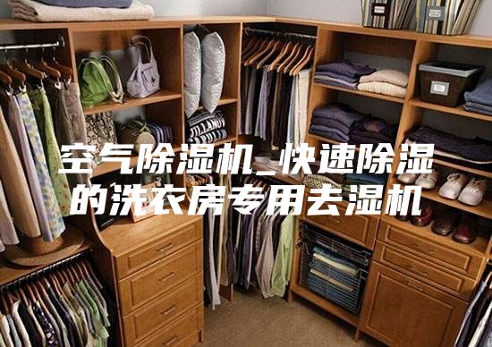 空氣除濕機_快速除濕的洗衣房專(zhuān)用去濕機