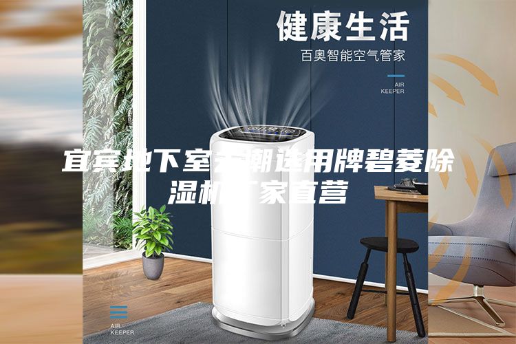 宜賓地下室去潮選用牌碧菱除濕機廠(chǎng)家直營(yíng)