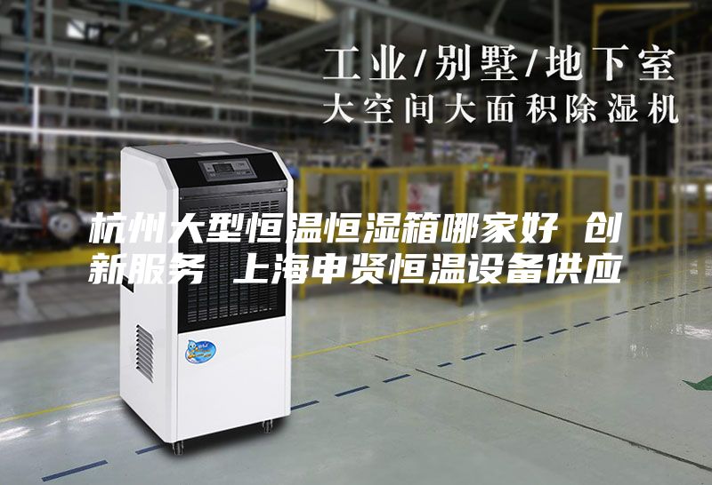 杭州大型恒溫恒濕箱哪家好 創(chuàng  )新服務(wù) 上海申賢恒溫設備供應