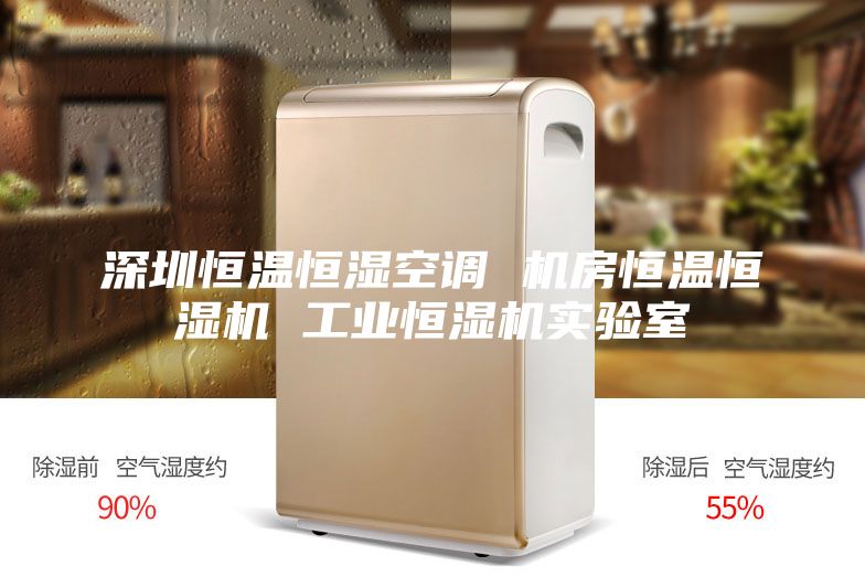 深圳恒溫恒濕空調 機房恒溫恒濕機 工業(yè)恒濕機實(shí)驗室