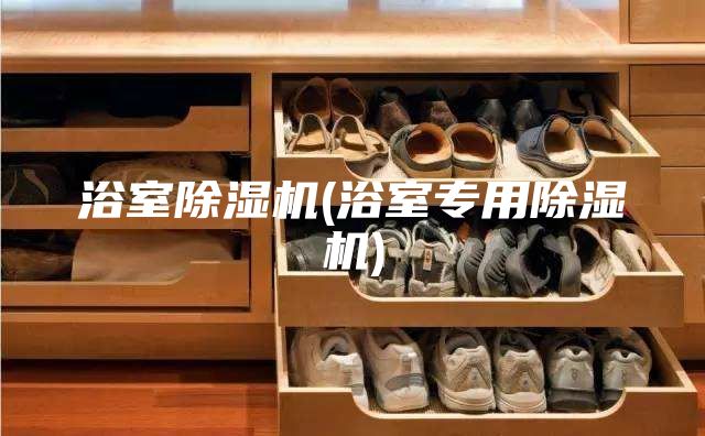 浴室除濕機(浴室專(zhuān)用除濕機)