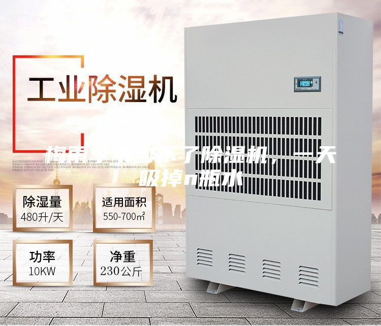 梅雨季節少不了除濕機，一天吸掉n瓶水