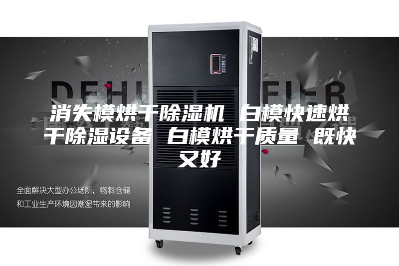 消失模烘干除濕機 白?？焖俸娓沙凉裨O備 白模烘干質(zhì)量 既快又好