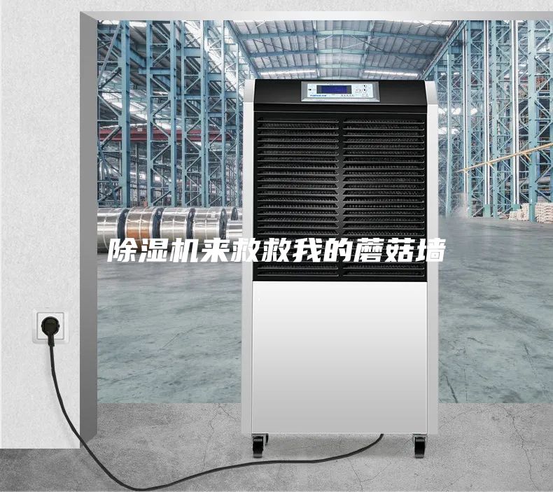 除濕機來(lái)救救我的蘑菇墻