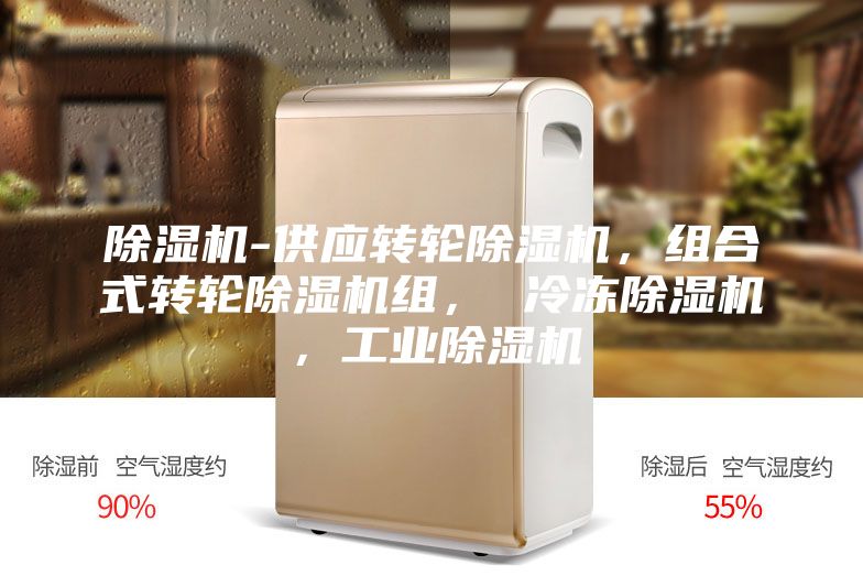 除濕機-供應轉輪除濕機，組合式轉輪除濕機組， 冷凍除濕機，工業(yè)除濕機