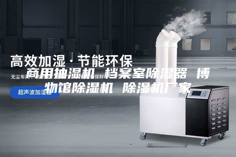 商用抽濕機 檔案室除濕器 博物館除濕機 除濕機廠(chǎng)家
