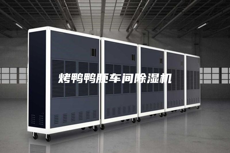 烤鴨鴨胚車(chē)間除濕機