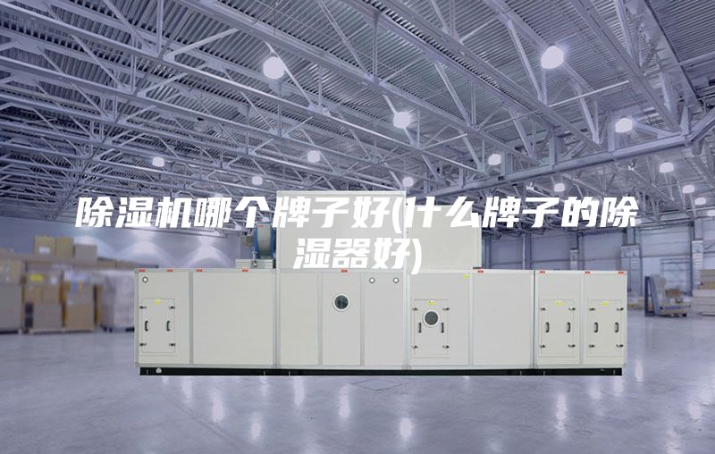 除濕機哪個(gè)牌子好(什么牌子的除濕器好)