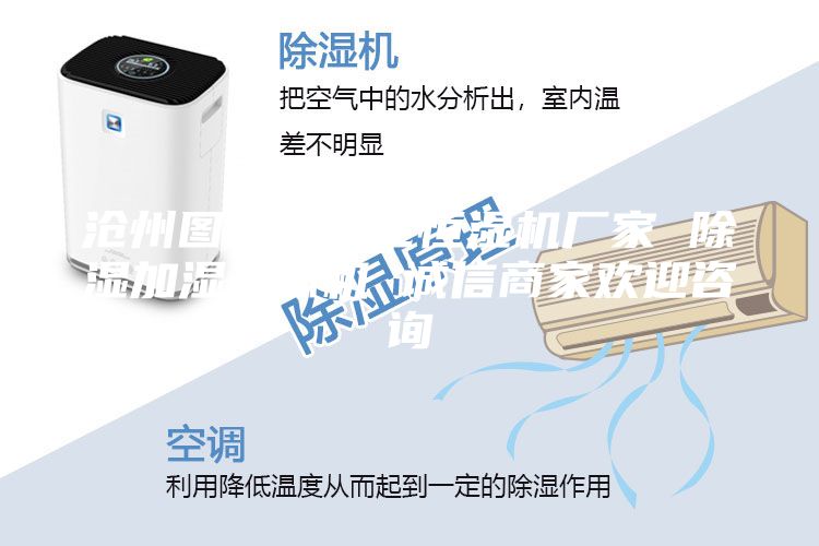 滄州圖書(shū)館凈化恒濕機廠(chǎng)家 除濕加濕一體機 誠信商家歡迎咨詢(xún)