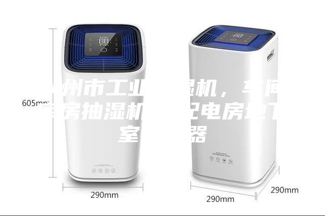 荊州市工業(yè)除濕機，車(chē)間庫房抽濕機  配電房地下室抽濕器