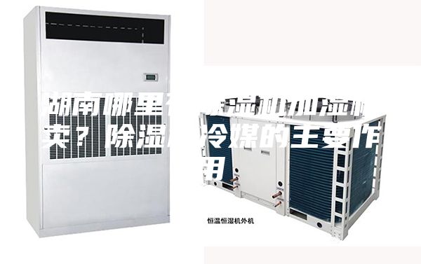 湖南哪里有除濕機加濕機賣(mài)？除濕機冷媒的主要作用