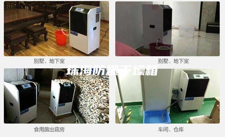 珠海防爆干燥箱