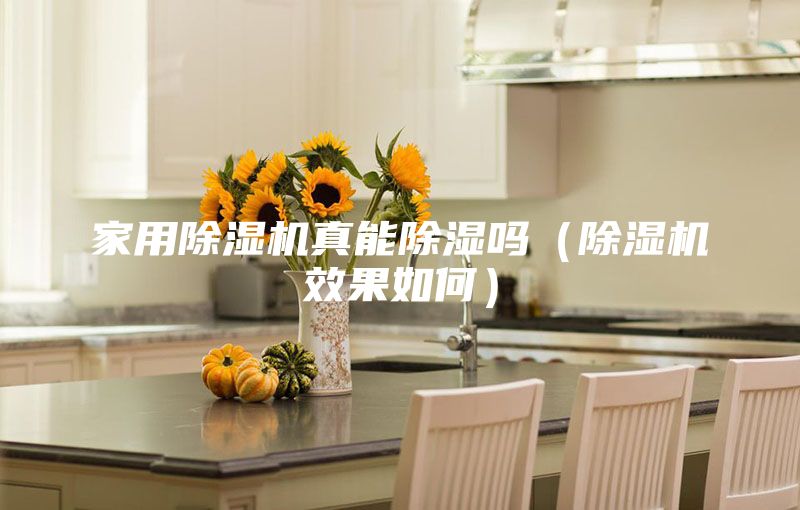 家用除濕機真能除濕嗎（除濕機效果如何）