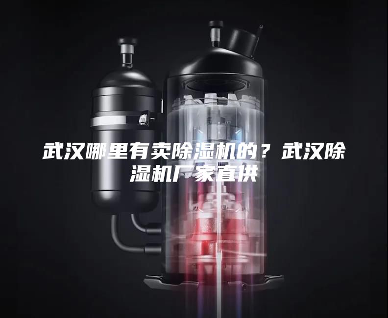 武漢哪里有賣(mài)除濕機的？武漢除濕機廠(chǎng)家直供