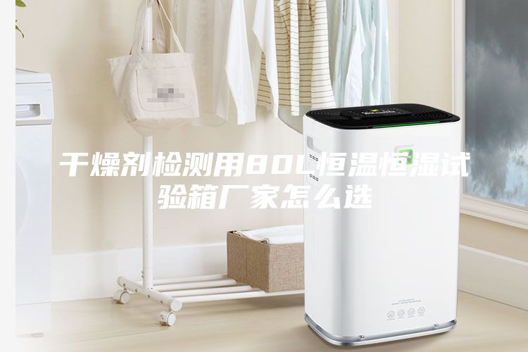 干燥劑檢測用80L恒溫恒濕試驗箱廠(chǎng)家怎么選
