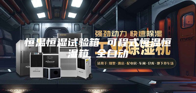 恒溫恒濕試驗箱 可程式恒溫恒濕箱 全自動(dòng)