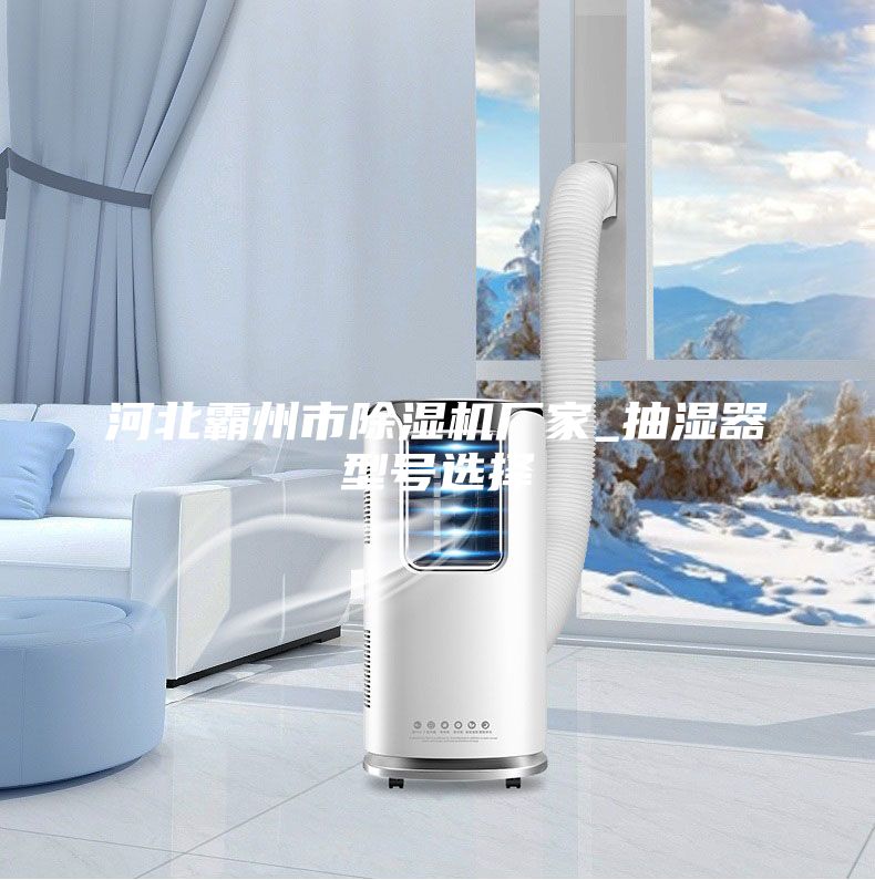 河北霸州市除濕機廠(chǎng)家_抽濕器型號選擇
