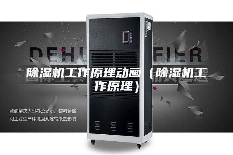 除濕機工作原理動(dòng)畫(huà)（除濕機工作原理）