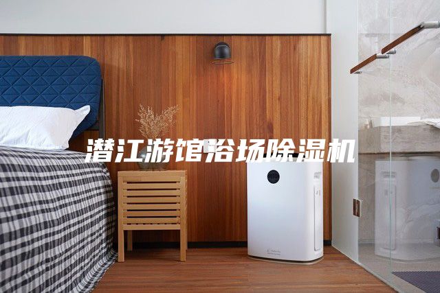 潛江游館浴場(chǎng)除濕機