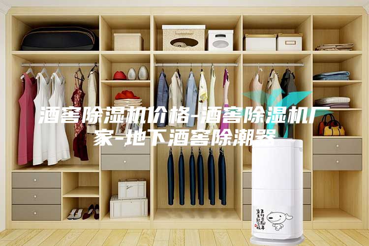酒窖除濕機價(jià)格-酒窖除濕機廠(chǎng)家-地下酒窖除潮器