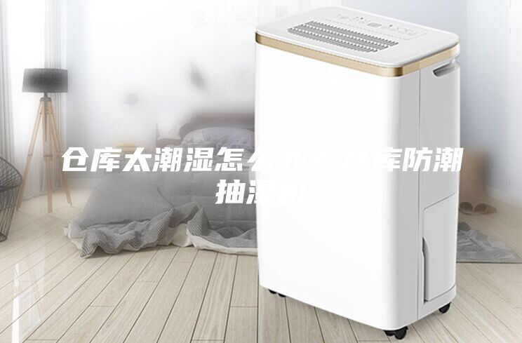 倉庫太潮濕怎么辦？倉庫防潮抽濕機