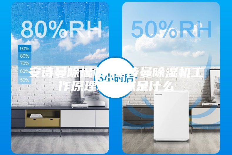 安詩(shī)曼除濕機_安詩(shī)曼除濕機工作原理和特點(diǎn)是什么