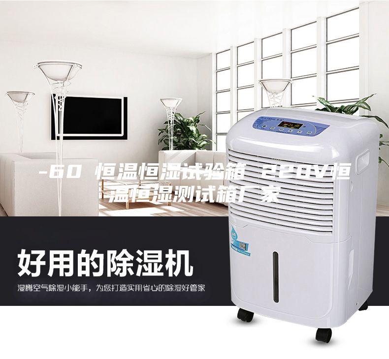 -60℃恒溫恒濕試驗箱 220V恒溫恒濕測試箱廠(chǎng)家