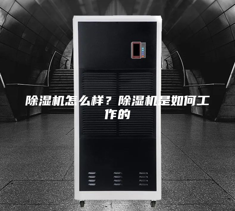 除濕機怎么樣？除濕機是如何工作的
