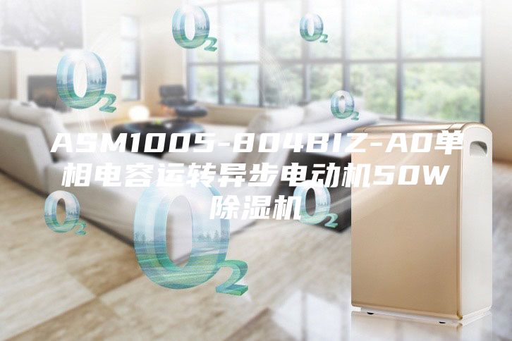 ASM1005-804BIZ-A0單相電容運轉異步電動(dòng)機50W除濕機