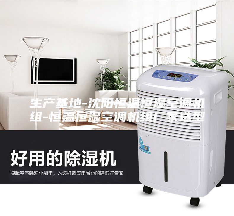 生產(chǎn)基地-沈陽(yáng)恒溫恒濕空調機組-恒溫恒濕空調機組廠(chǎng)家選型