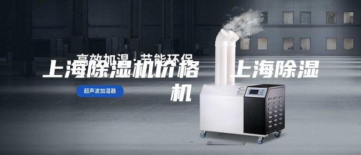 上海除濕機價(jià)格  上海除濕機