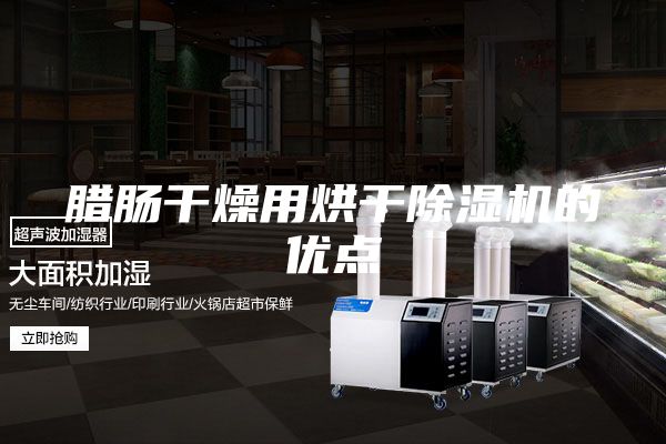 臘腸干燥用烘干除濕機的優(yōu)點(diǎn)