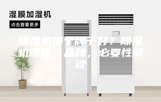 除濕機哪個(gè)牌子好？除濕機原理，品牌，必要性解讀