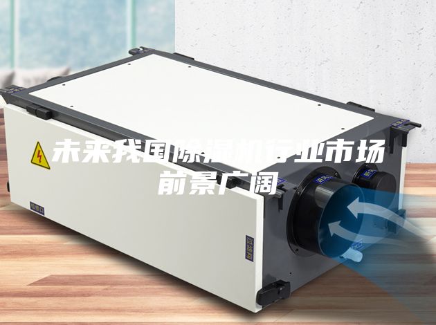 未來(lái)我國除濕機行業(yè)市場(chǎng)前景廣闊