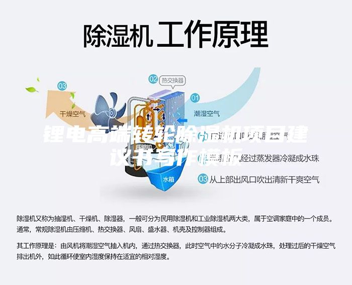 鋰電高端轉輪除濕機項目建議書(shū)寫(xiě)作模板