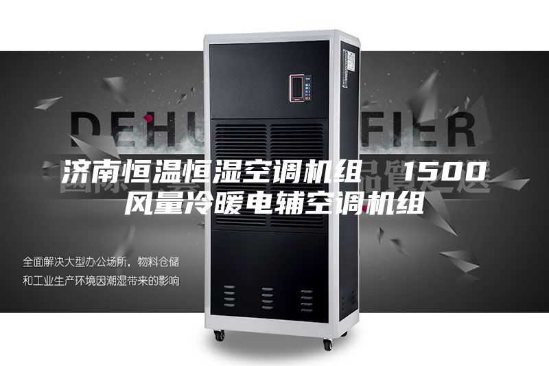 濟南恒溫恒濕空調機組  1500風(fēng)量冷暖電輔空調機組