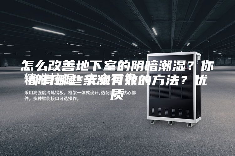 怎么改善地下室的陰暗潮濕？你都有哪些親測有效的方法？?jì)?yōu)質(zhì)