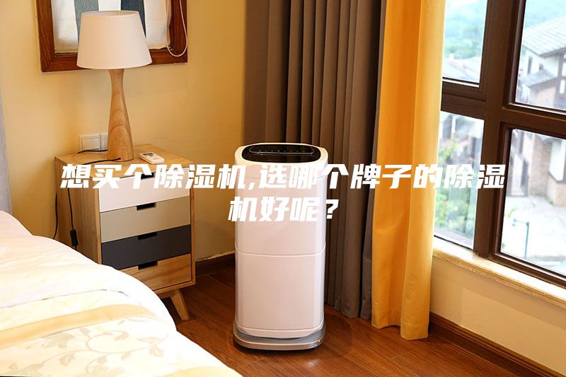想買(mǎi)個(gè)除濕機,選哪個(gè)牌子的除濕機好呢？