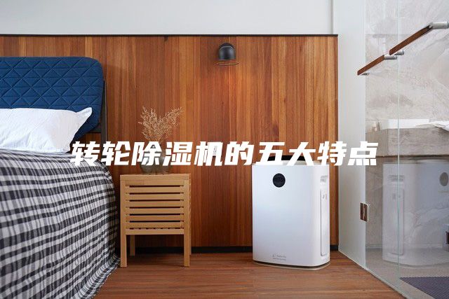 轉輪除濕機的五大特點(diǎn)