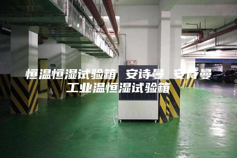 恒溫恒濕試驗箱 安詩(shī)曼 安詩(shī)曼工業(yè)溫恒濕試驗箱