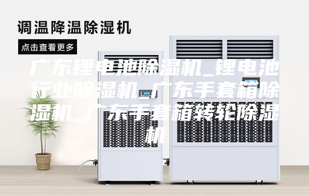 廣東鋰電池除濕機_鋰電池行業(yè)除濕機_廣東手套箱除濕機_廣東手套箱轉輪除濕機