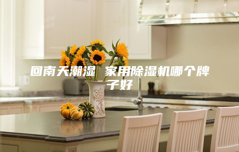 回南天潮濕 家用除濕機哪個(gè)牌子好