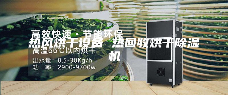 熱風(fēng)烘干設備 熱回收烘干除濕機