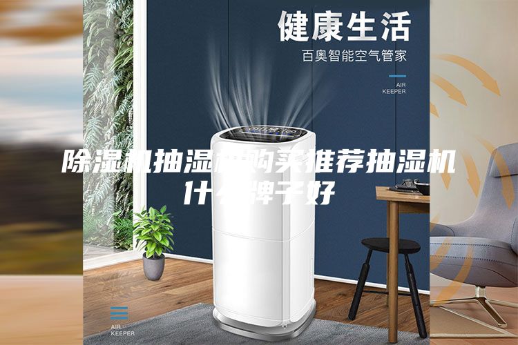 除濕機抽濕機購買(mǎi)推薦抽濕機什么牌子好