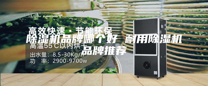 除濕機品牌哪個(gè)好 耐用除濕機品牌推薦