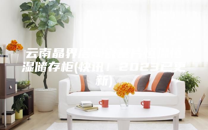 云南晶界層陶瓷基片恒溫恒濕儲存柜(快訊！2023已更新)