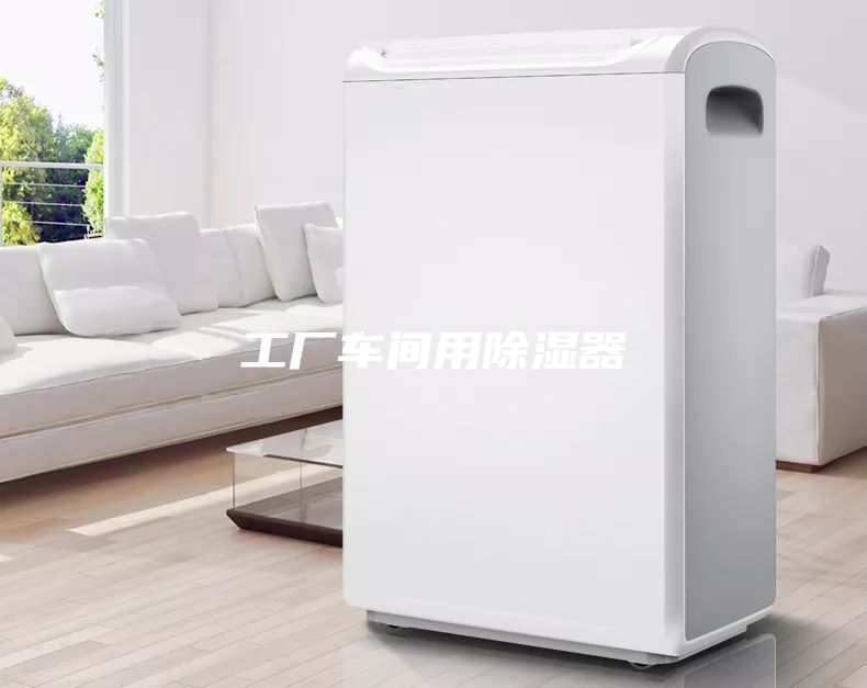 工廠(chǎng)車(chē)間用除濕器